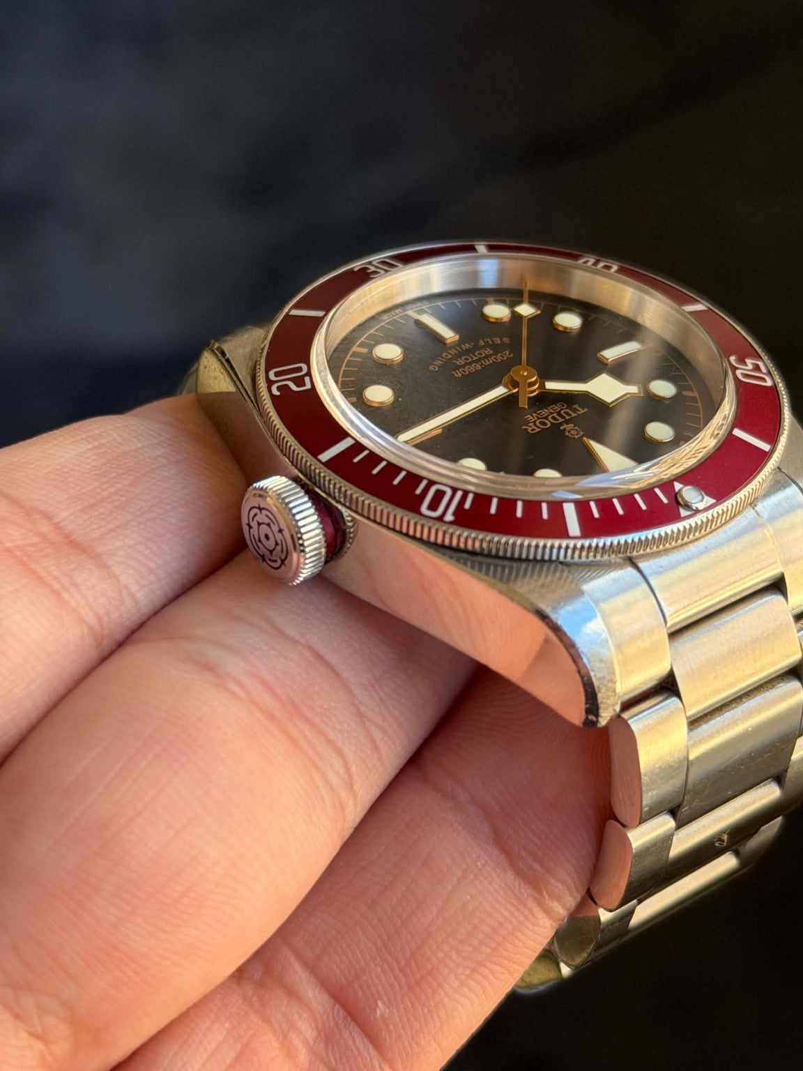 Tudor Black Bay Heritage 79220R case profile and Tudor rose crown